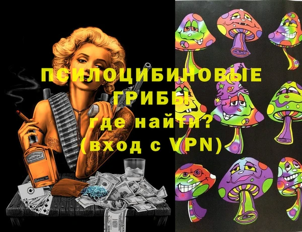 спиды Лиски