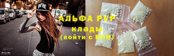 спиды Лиски