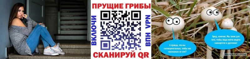 Галлюциногенные грибы Cubensis  Южа 